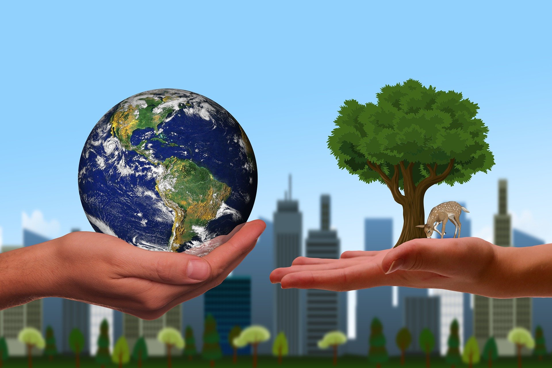 Environmental and Social Impact Assessment (ESIA)